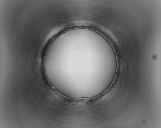 X0000100971261200807151343