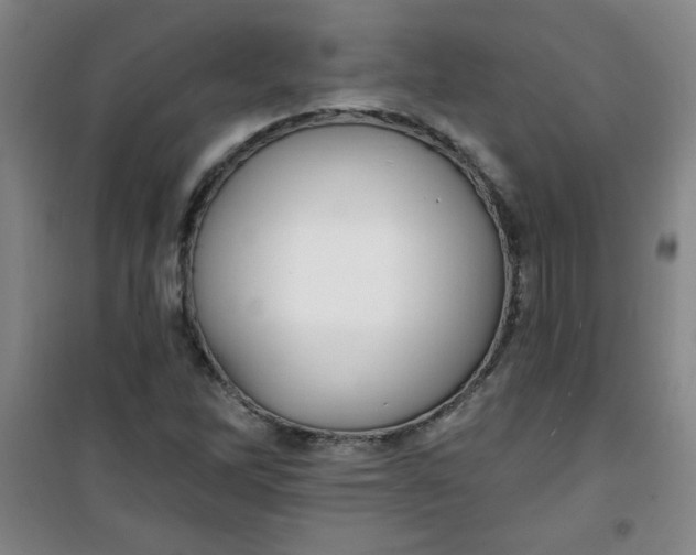 X0000100971262200807151343