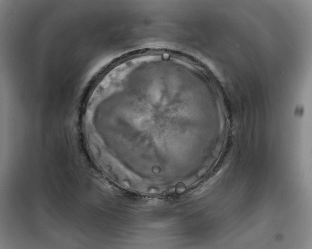 X0000100971263200807151343