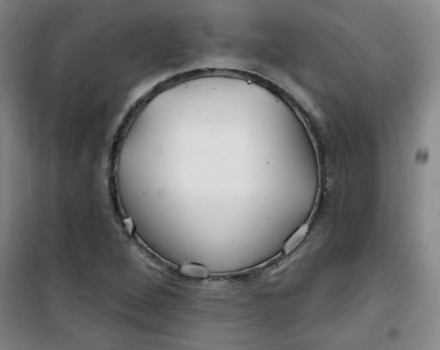 X0000100971264200807151343