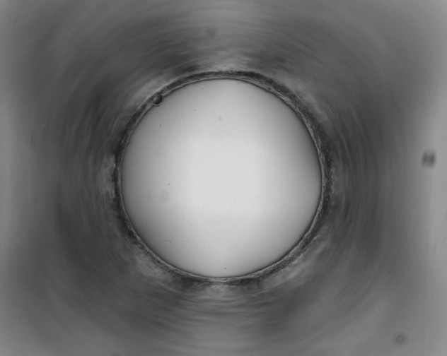 X0000100971265200807151343