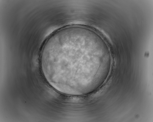 X0000100971266200807151343