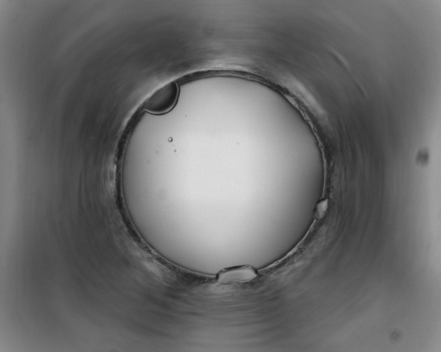 X0000100971268200807151343
