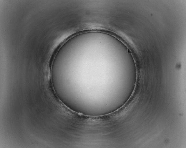 X0000100971269200807151343