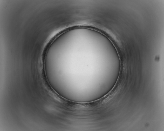 X0000100971270200807151343