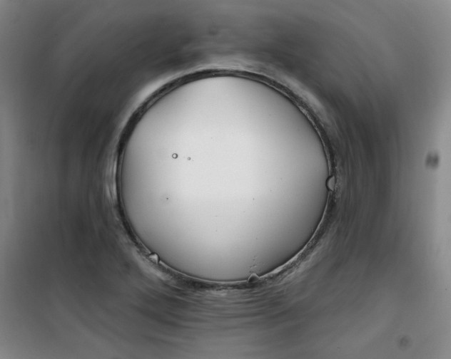 X0000100971272200807151343