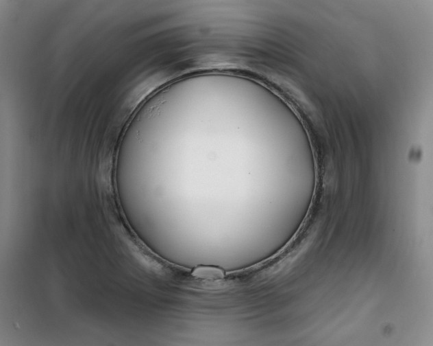 X0000100971273200807151343