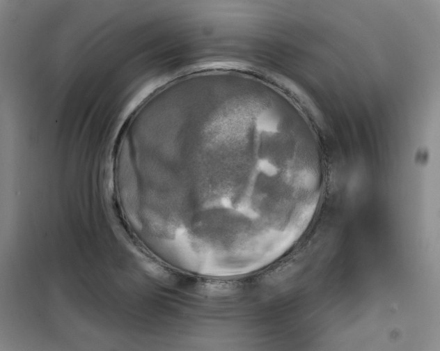 X0000100971274200807151343