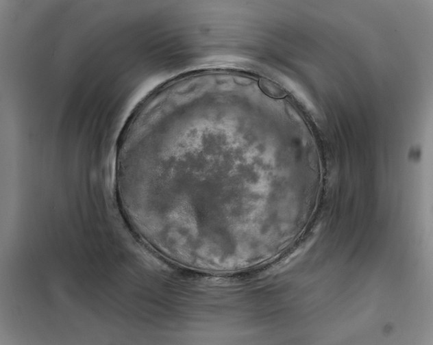 X0000100971275200807151343