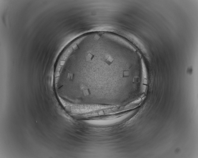 X0000100971276200807151343