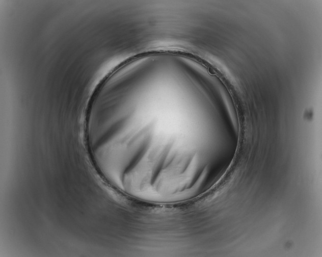 X0000100971277200807151343