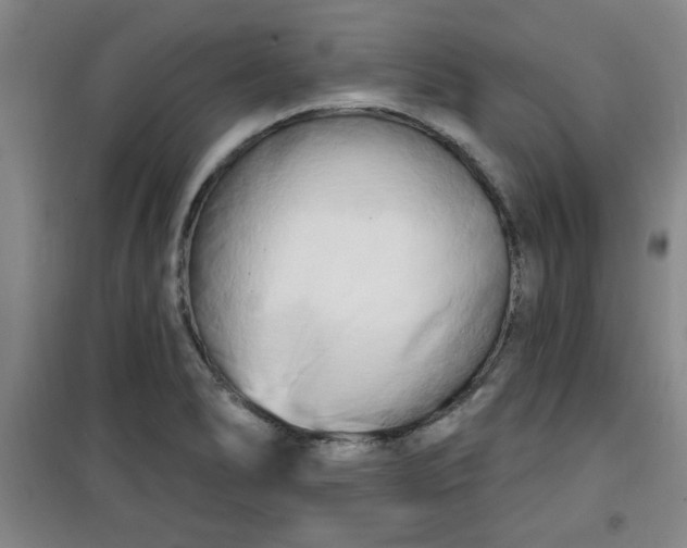 X0000100971278200807151343