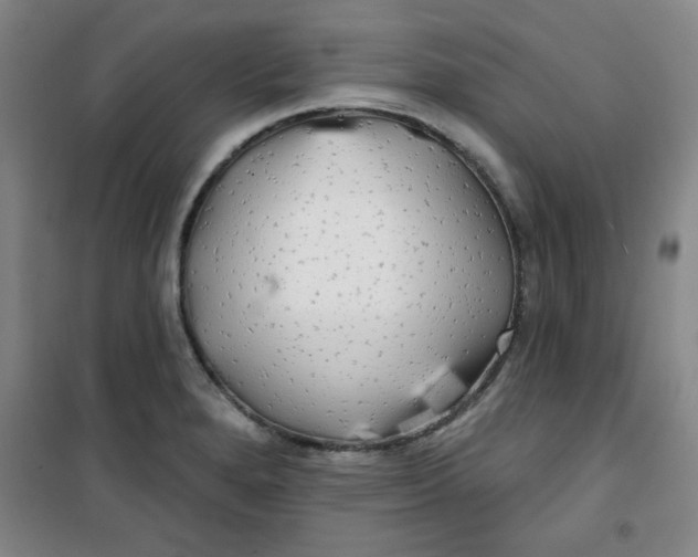 X0000100971280200807151343