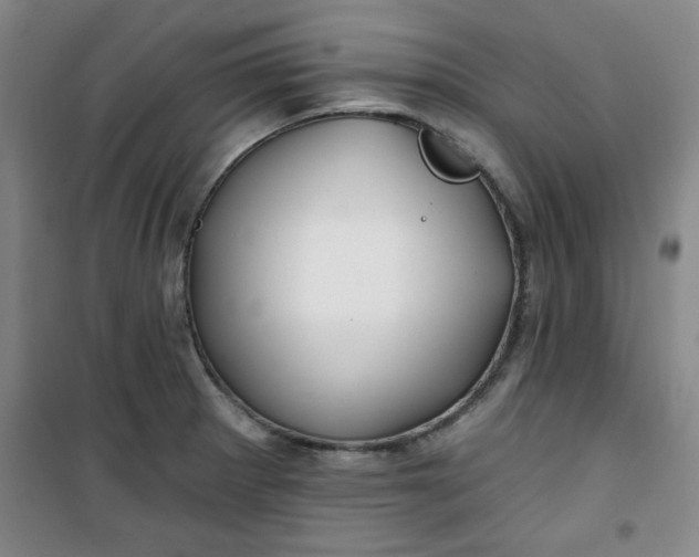X0000100971281200807151343