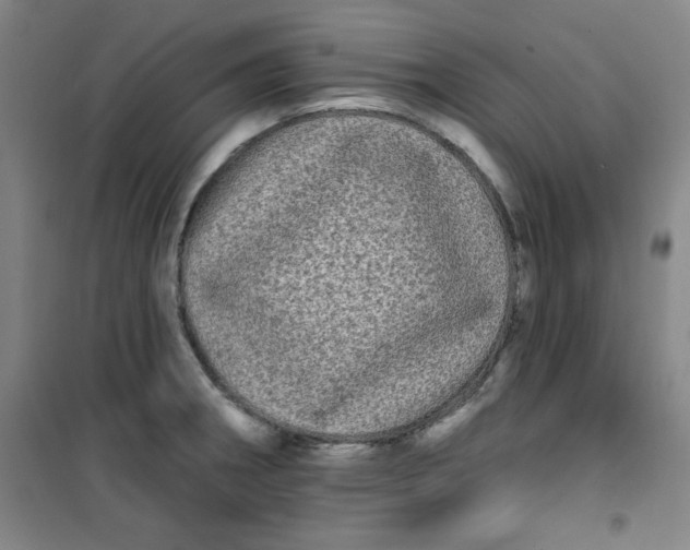 X0000100971282200807151343