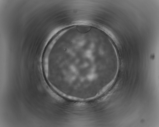 X0000100971283200807151343
