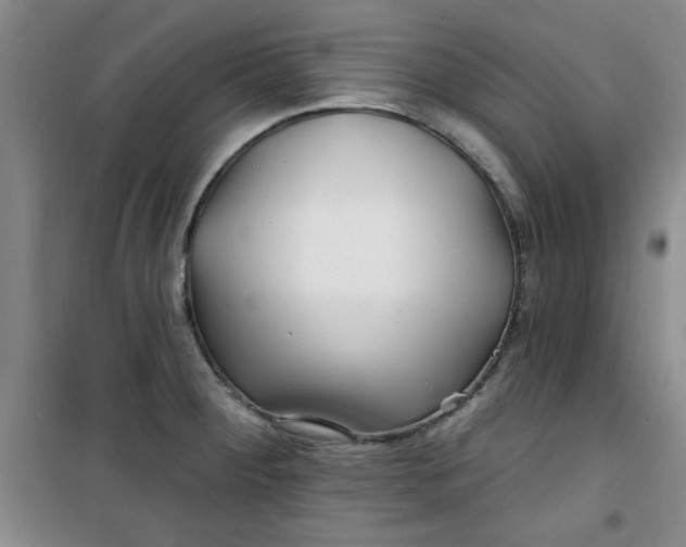 X0000100971284200807151343