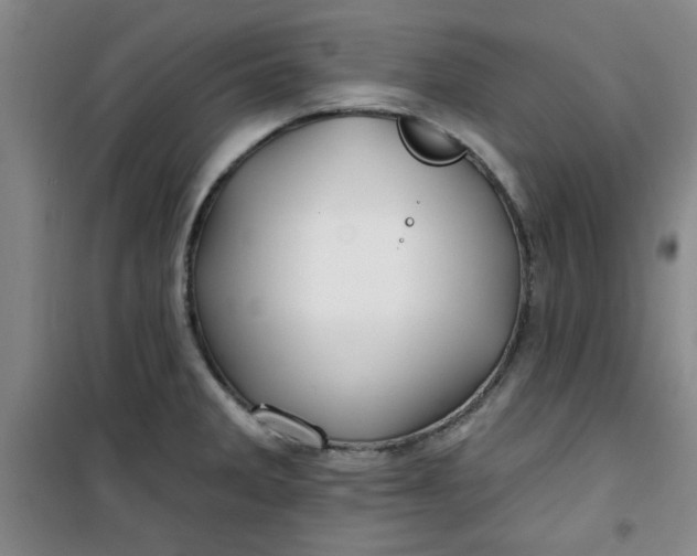 X0000100971285200807151343
