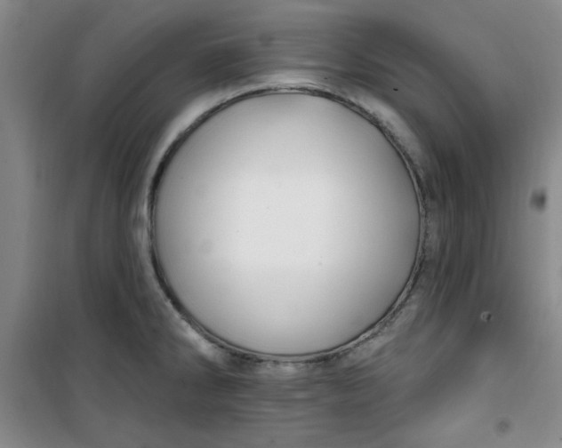 X0000100971286200807151343