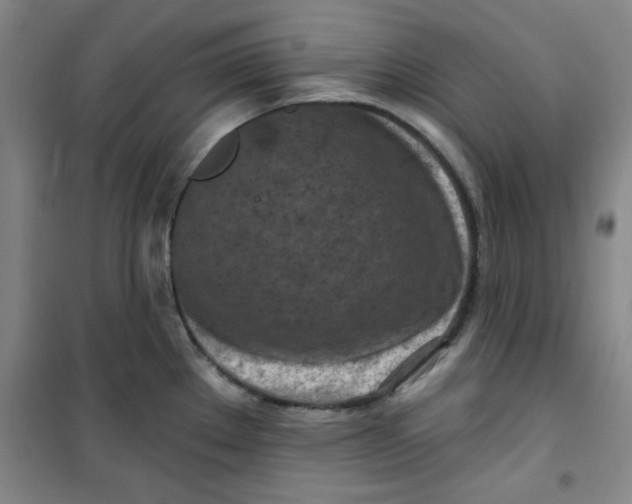 X0000100971289200807151343