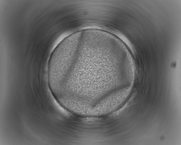X0000100971290200807151343