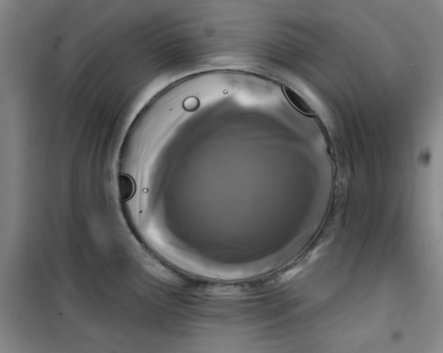X0000100971291200807151343