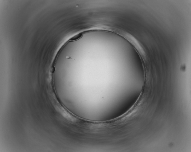 X0000100971292200807151343