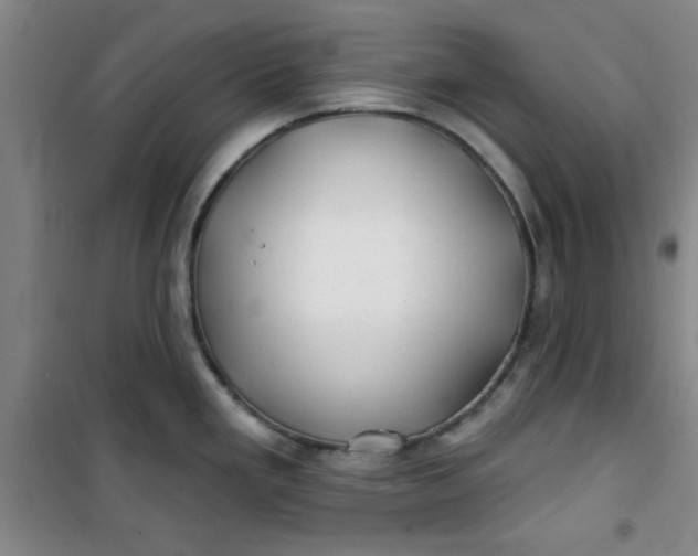 X0000100971293200807151343