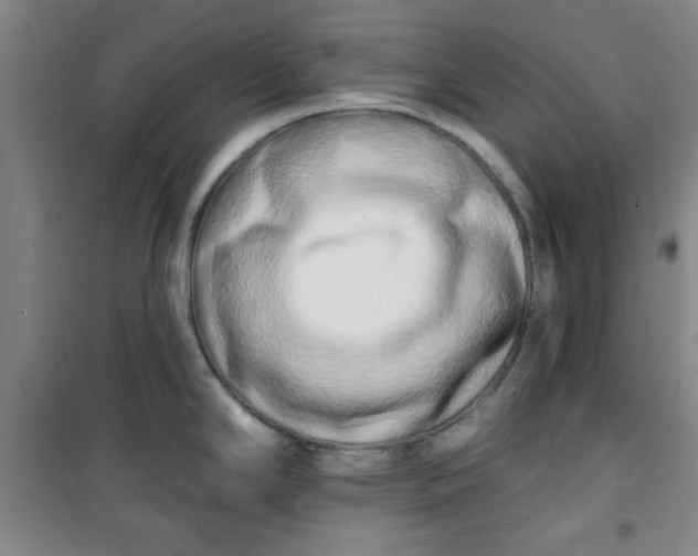 X0000100971294200807151342