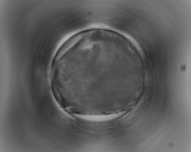 X0000100971295200807151342