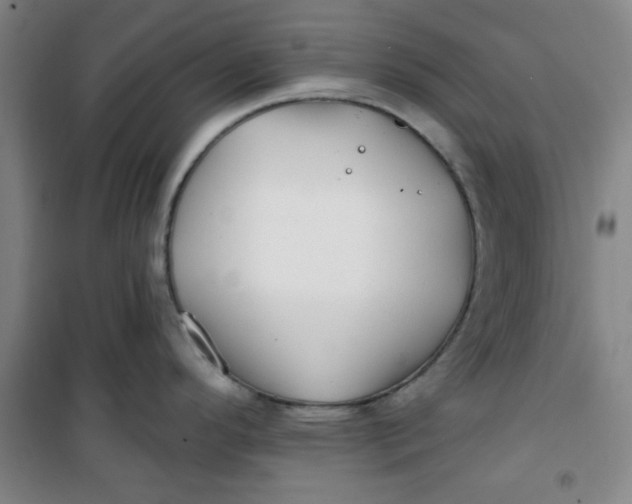 X0000100971296200807151342