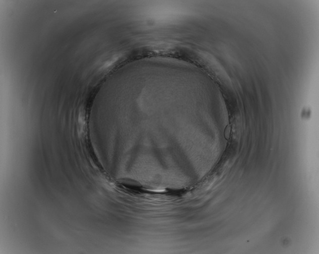 X0000100971298200807151341