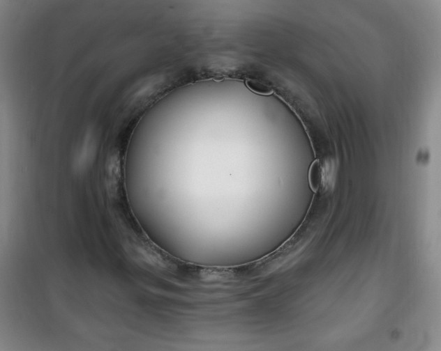 X0000100971299200807151341