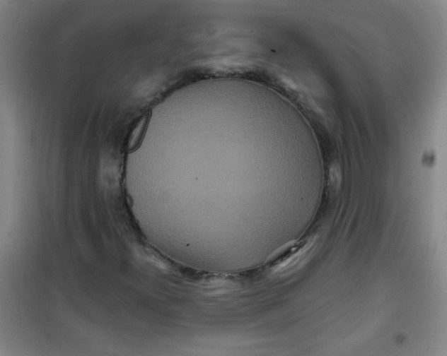 X0000100971300200807151341