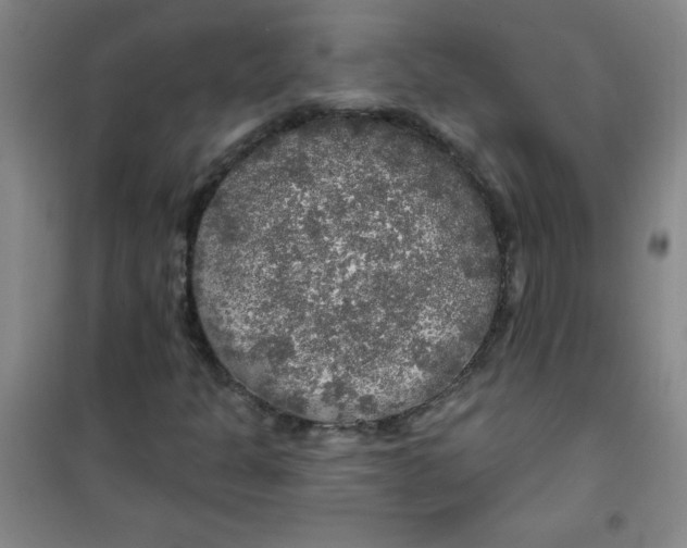 X0000100971301200807151341