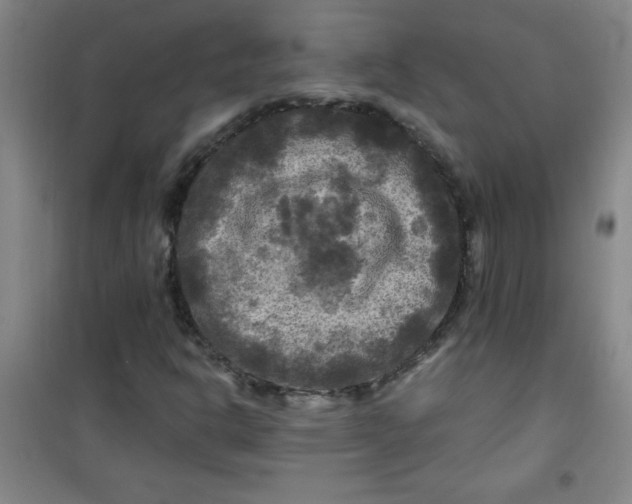 X0000100971302200807151341