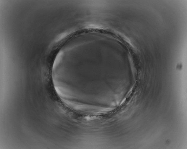 X0000100971303200807151341