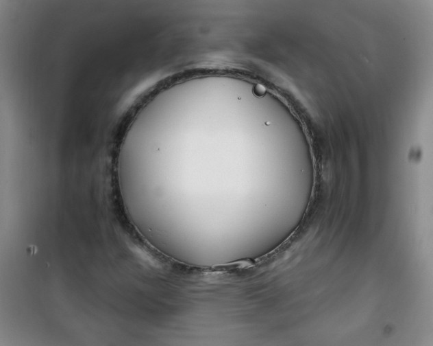 X0000100971304200807151342