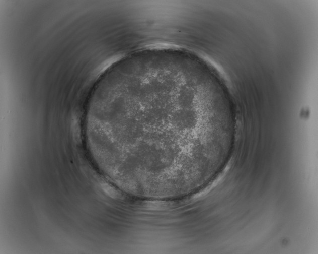 X0000100971305200807151342