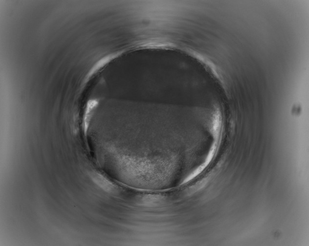 X0000100971306200807151342