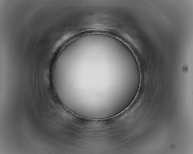 X0000100971307200807151342