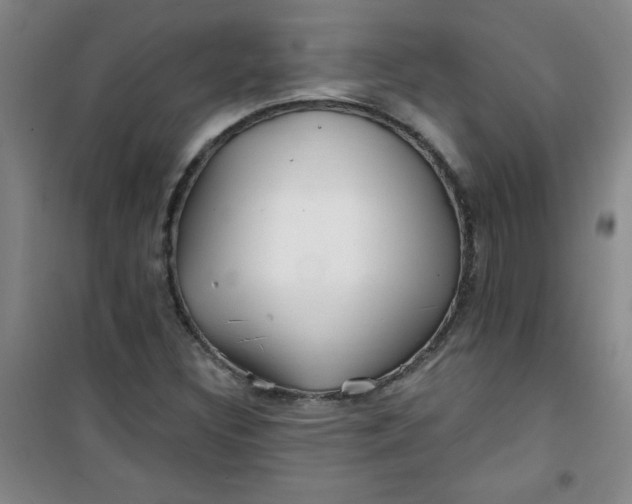 X0000100971308200807151342