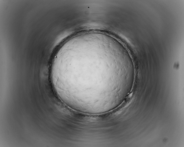X0000100971309200807151342