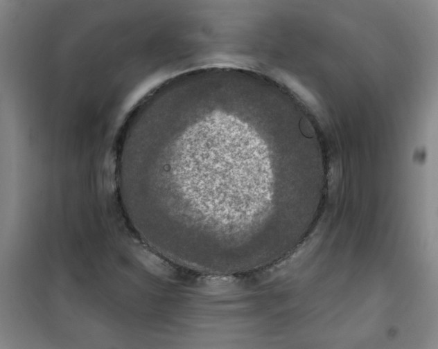 X0000100971310200807151342