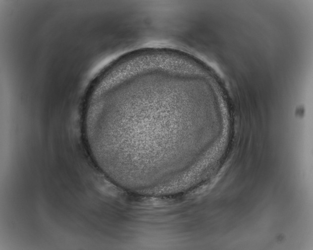X0000100971311200807151342