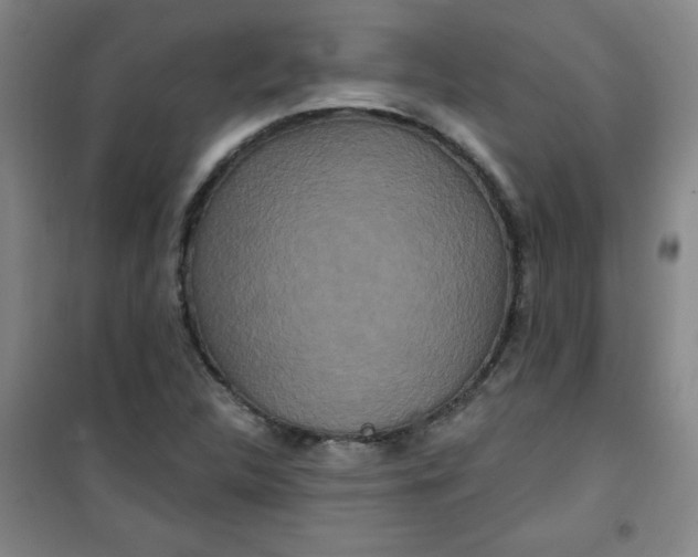 X0000100971312200807151342