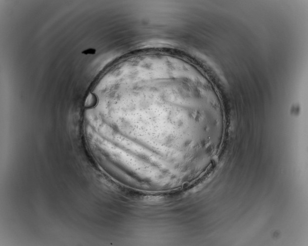 X0000100971313200807151342