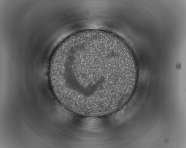 X0000100971314200807151342