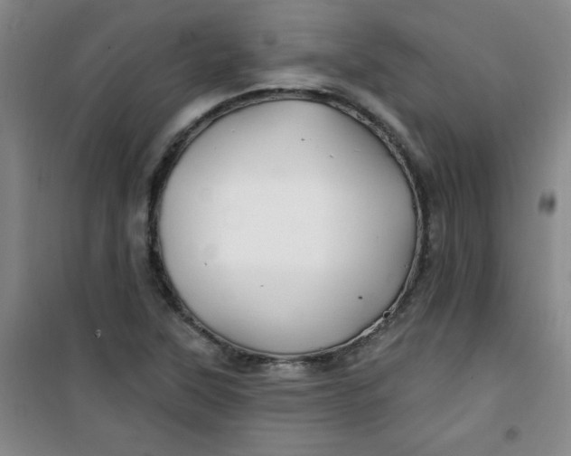 X0000100971315200807151342