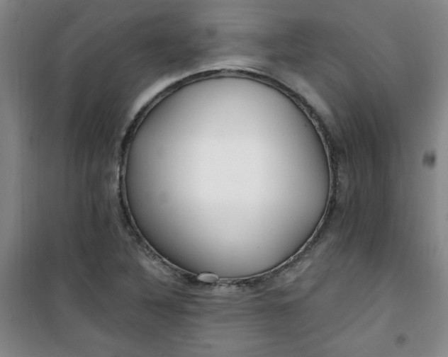 X0000100971316200807151342